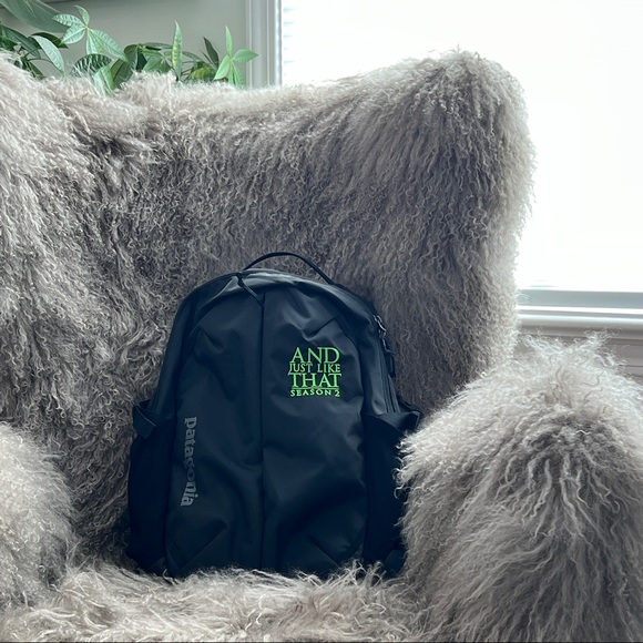 Flash Sale! “And Just like That” AJLT - NEW RARE Patagonia Crew Member Backpack! - Picture 3 of 14